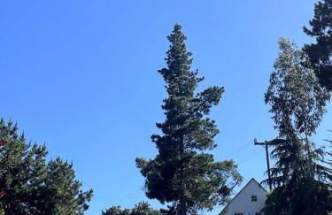 Romantic Carmel Cottage Ocean Country Views - Photo 2