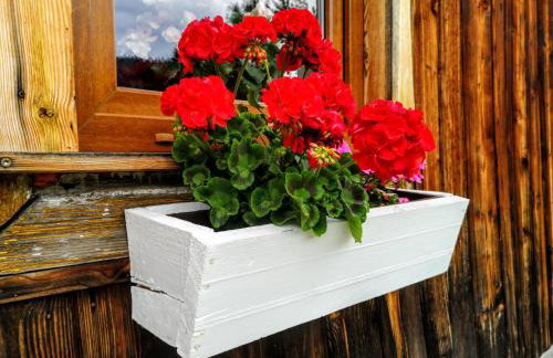 Wieś odNowa - Photo 47