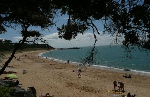 Studio Dunes aux Ecureuils - Foto 1