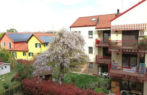 Venice Cove apartment 15mVenice -free park- near airport - Photo 6