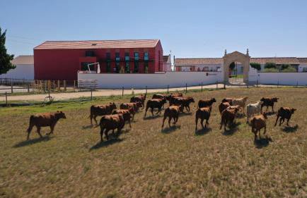 Quinta da Gafaria - Foto 3