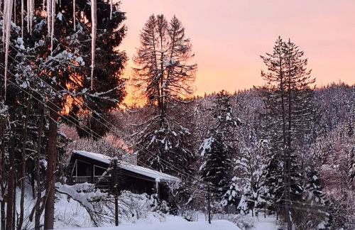 Waldblick Ferienwohnungen - Foto 9