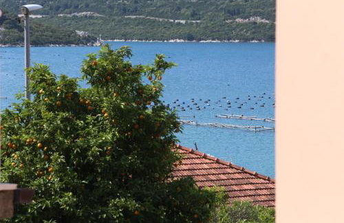 Guest House Roses - Photo 25