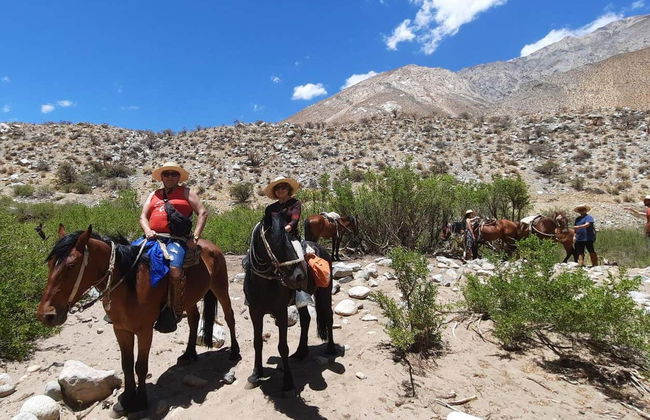 Horseback Riding in Cochiguaz - Photo 10