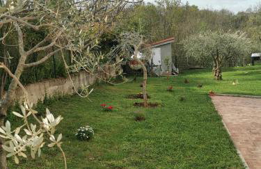 Family-friendly apartments with swimming pool Kastel, Central Istria - Sredisnja Istra - 21309 - Foto 10