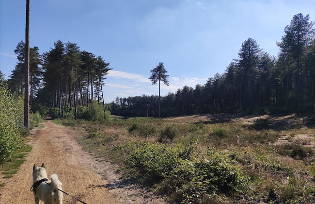 Herselt Garden Shed Retreat - Foto 42