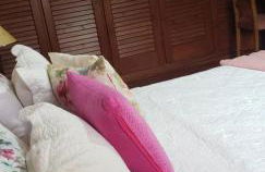 Casa da Ribeira - Photo 3