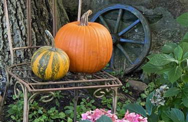 Appartement im alten Pferdestall - Foto 18