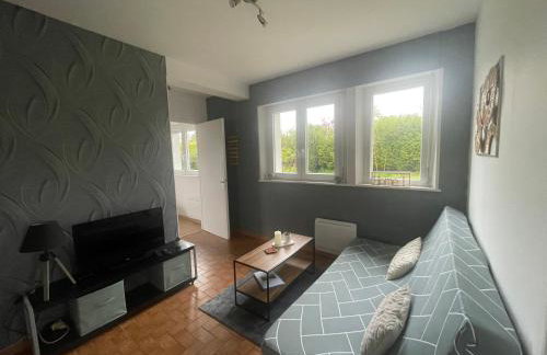 Magnifique Logement f2 Vosges La vôge-les-bains - Foto 6