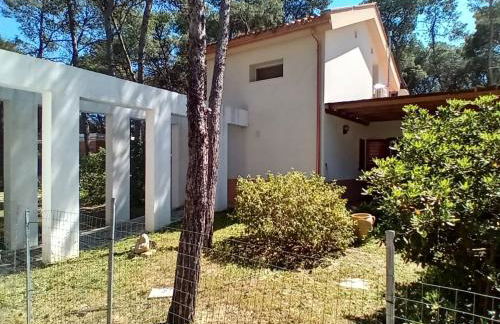 Villa immersa in pineta 100m dalla spiaggia - Foto 37