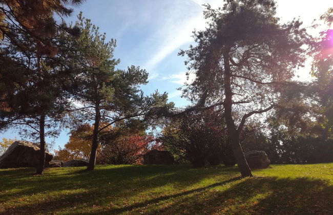 University Hotel - Foto 39