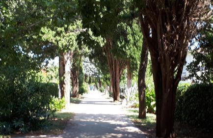 Iris Sabunike - Photo 54