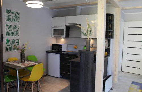 Domki Spokojny Zakątek z balią z jacuzzi - Foto 28