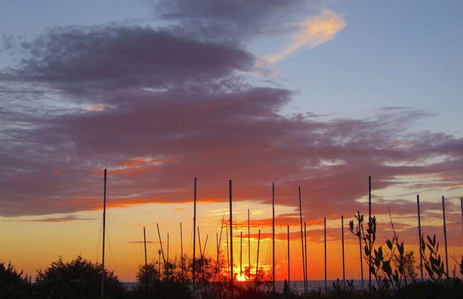 Holiday Home by Marina Beach Tuscany - Foto 31