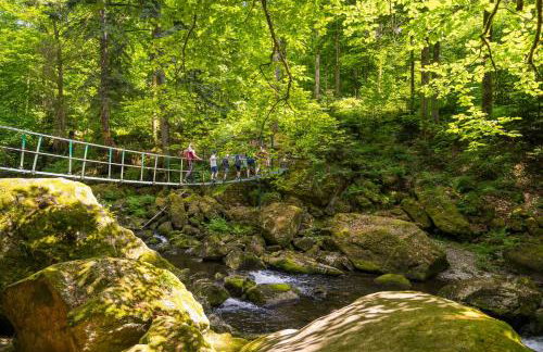 Ferienwohnung Bayerwald inklusive AktivCard Bayerischer Wald - Foto 20