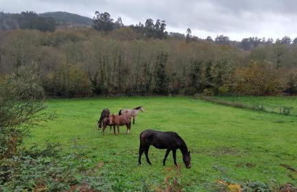 Casa da Labaceira - Foto 44