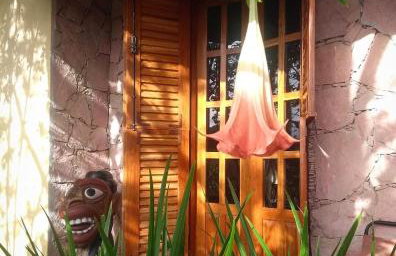 Jardim das orquídeas - Foto 32