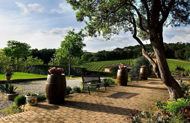 Agriturismo Poggio Bonelli - Foto 32