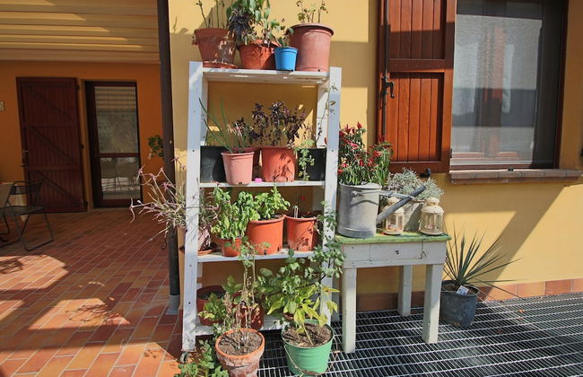 Country House With Swimming Pool and Garden With Mediterranean Plants - Foto 55