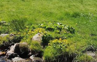 Appartement spacieux au cœur du massif du Sancy - Foto 13