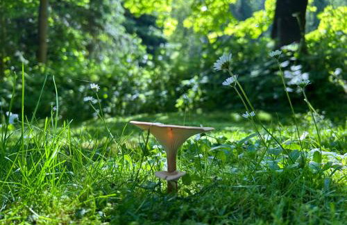 Forest House- dom nad górskim potokiem - Foto 23