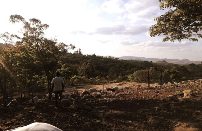 Beautiful 1-bed Cottage in Juliasdale - Foto 9