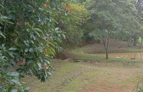 Sítio Vô Nono - Foto 8