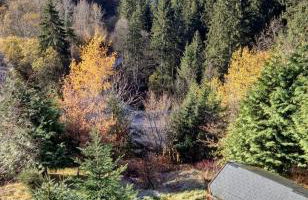 Alpine 1 bed Chalet with beautiful views - Foto 4