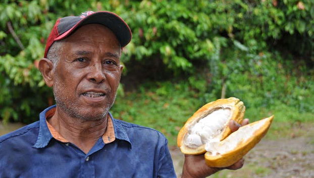 Puerto Plata Cacao Tour - Foto 4