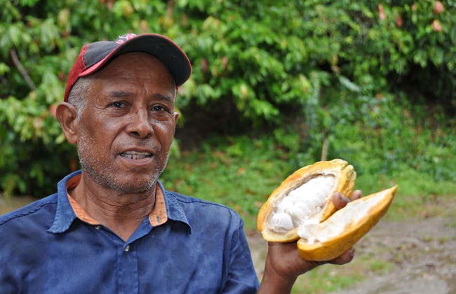 Puerto Plata Cacao Tour - Photo 4