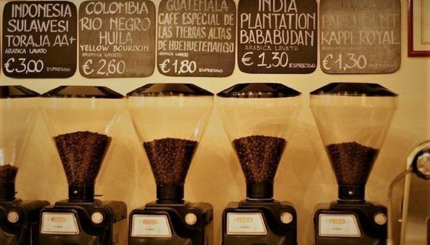 Passeggiata alla scoperta di Bologna - Foto 2