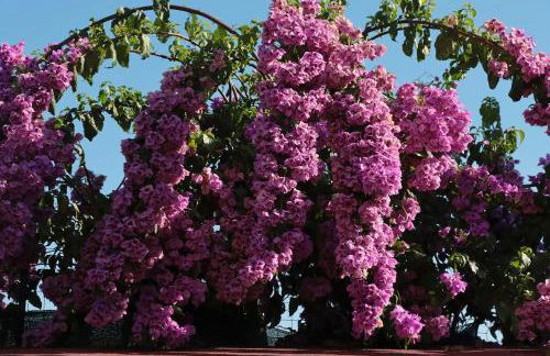 Osy Casa Vacanze - Foto 52