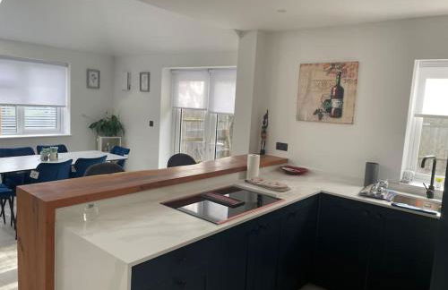 Brand New Big House with garden and free parking - Foto 7