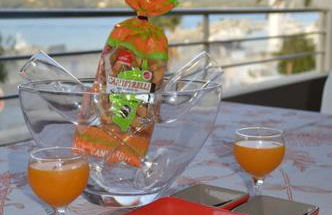 T2 d'exception 100m plage terrasse vue mer et montagnes - Foto 16