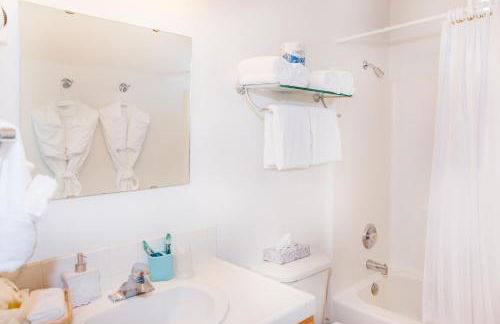 Magnificent Oceanview by OceanviewHotTubs Oceanfront! Shelter Cove, CA Tesla EV station - Foto 30