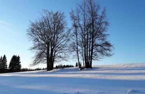 Small and Cozy Apartment in Frauenwald near Forest - Foto 58