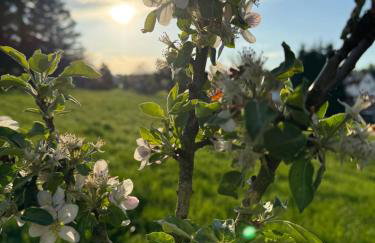 Apartment Montabaur Heiligenroth - Foto 8
