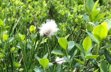 Chalet 10 pers sauna & SPA La tanière des Vosges - Foto 47