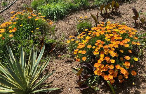 Manor Meeder - Foto 16