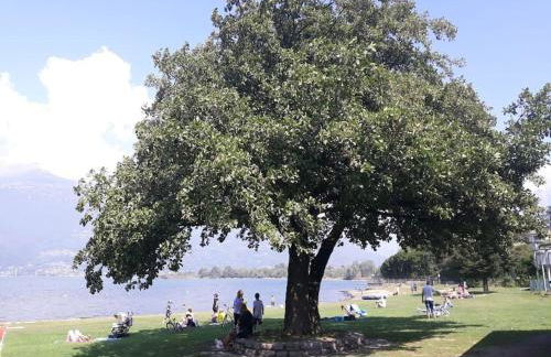 Villa Lidia, Como Lake - Foto 36