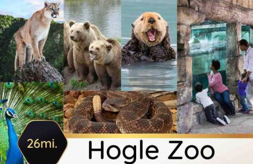 Bee Chic in SoJo w/hot tub+gym+local ski slopes - Foto 23