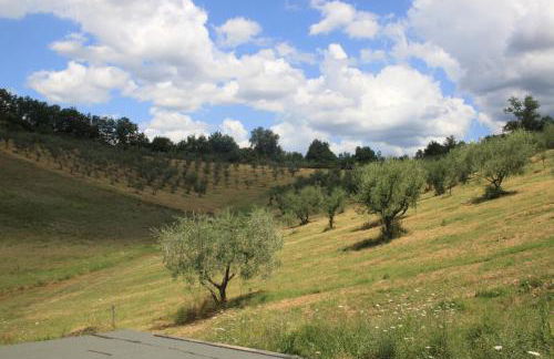 Agriturismo Le Buche di Viesca - Foto 17