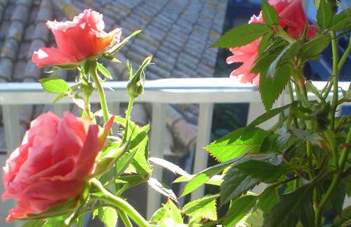 Andalusian Courtyard - Foto 28