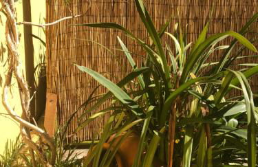 BS VILLAS RC PORTO - Foto 26