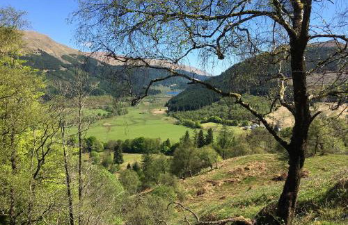 Glenbranter Cottage - Foto 15