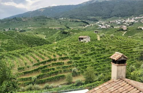 La Casa Vecchia - Foto 133