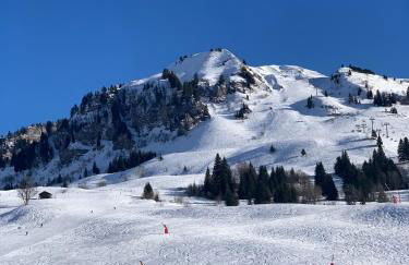 MAISON OLIVIER charmant appartement montagne - Foto 7