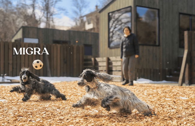 YADOKARI VILLAGE KITAKARUIZAWA - Foto 53