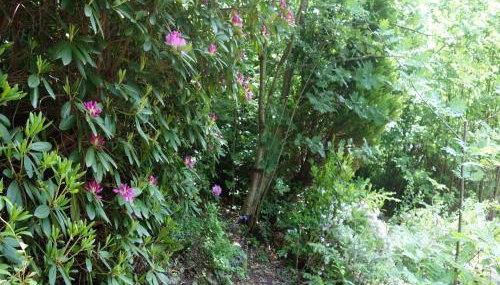 Ferienhaus Lena - Foto 3