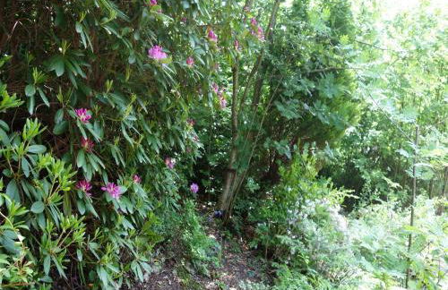 Ferienhaus Lena - Foto 3